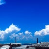 Photograph of Harmony