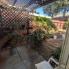 Photo 6: Backyard 