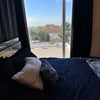 Photo 2: Bed and window view
