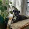 Photo 8: Lydia on window bench