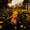 Photograph of Deshna