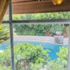 Photo 3: Pool view