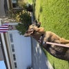 Photo 6: Front Yard