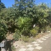 Photo 5: Large backyard
