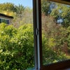 Photo 6: View from bed