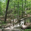 Photo 6: Nature trail behind house