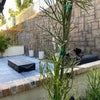 Photo 4: Patio