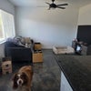 Photo 8: Shared livingroom