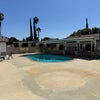 Photo 7: Pool