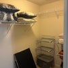 Photo 3: Closet 