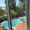 Photo 5: view from bedroom window s