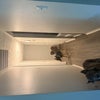 Photo 5: Hallway 