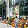 Photo 5: Wholefoods across the street 