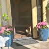 Photo 5: Front entry-click on all the pictures to see it in full view