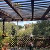 Photo 8: Back deck 