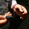 Photograph of Shoshana