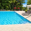 Photo 9: Pool 