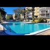 Photo 5: Pool