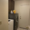 Photo 8: Laundry room 