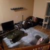 Photo 6: Shared Living Room