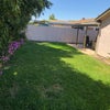 Photo 8: backyard
