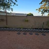 Photo 6: Back Yard