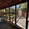 Photo 5: Backyard