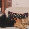 Photo 3: The cats - Nova & Marigold