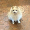 Photo 6: Teddy