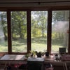 Photo 7: View from living room