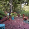 Photo 8: Deck next to woods