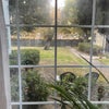 Photo 7: HUGE Front Yard