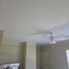 Photo 7: Living area