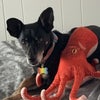 Photo 2: Martha and our stuffie Eve