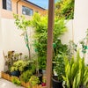 Photo 7: Patio