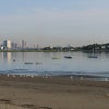 Photo 9: Wollaston Beach (less than one block)