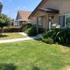 Photo 8: Front Yard