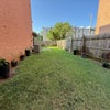 Photo 6: Fenced backyard