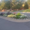 Photo 4: Neighborhood
