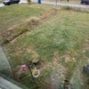 Photo 7: Garden beds available