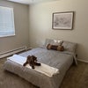Photo 2: western themed bedroom