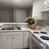 Photo 4: renovated kitchen