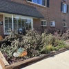 Photo 6: beautiful landscaping