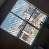 Photo 3: Room