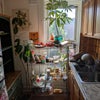 Photo 6: Kitchen