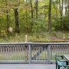 Photo 2: Back Yard