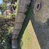 Photo 6: Backyard 