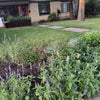 Photo 3: Front of the house