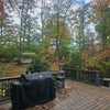 Photo 9: Backyard + Grill