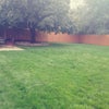 Photo 3: backyard